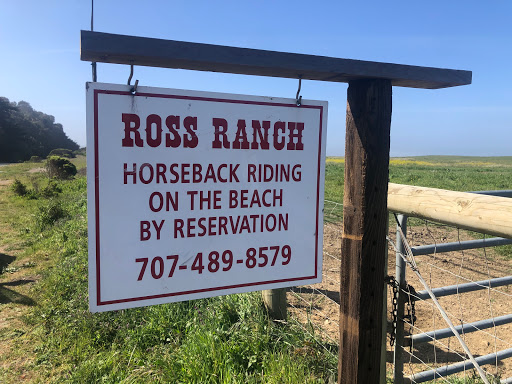 Stable «Ross Ranch», reviews and photos, 28300 Philo Greenwood Rd, Elk, CA 95432, USA