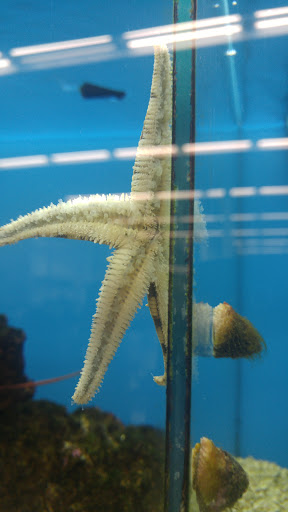 Pet Supply Store «Petco Animal Supplies», reviews and photos, 600 NE Vivion Rd, Kansas City, MO 64118, USA