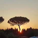 Photo n°9 de l'avis de Royo. fait le 01/07/2023 à 03:49 sur le  Sheraton Rome Parco de' Medici à Rome