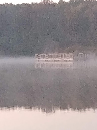 Nature Preserve «Bullfrog Lake», reviews and photos, 9600 Wolf Rd, Willow Springs, IL 60480, USA