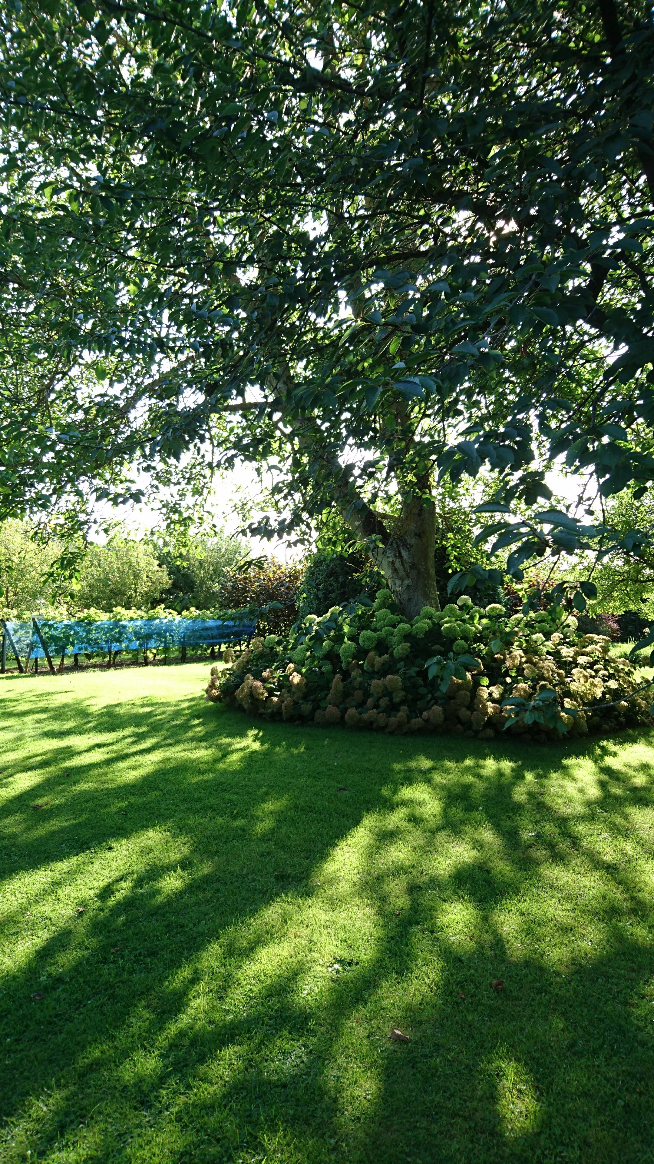 Photo n° 19 de l'avis de Pascale.o fait le 22/08/2019 à 07:54
