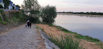 Parc naturel régional Loire-Anjou-Touraine du Restaurant Au coin du Fleuve à Gennes-Val-de-Loire - n°4