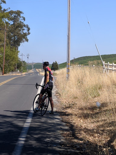 Sonoma Valley Bike Tours & Rentals image