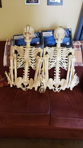 Discount Store «Big Lots», reviews and photos, 1815 Pulaski Hwy, Edgewood, MD 21040, USA