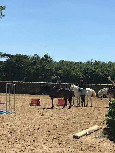 Centre Equestre de Melay à Chemillé-en-Anjou