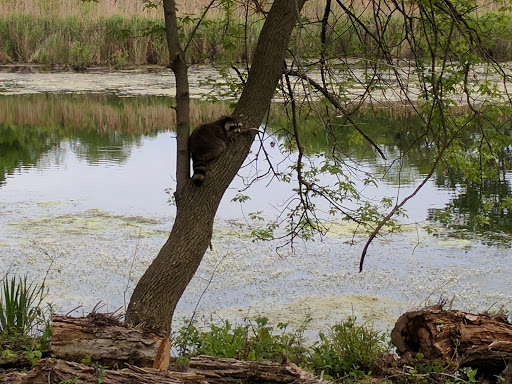 Nature Preserve «Lakewood Forest Preserve», reviews and photos, 27277 N Forest Preserve Rd, Wauconda, IL 60084, USA