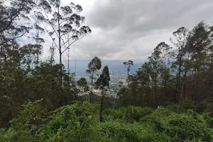 Mirador Cotopaxi image