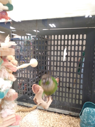 Pet Supply Store «PetSmart», reviews and photos, 300 NJ-18, East Brunswick, NJ 08816, USA