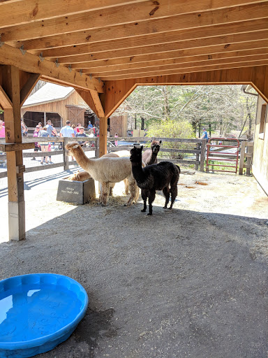 Zoo «The Maryland Zoo in Baltimore», reviews and photos, 1 Safari Place, Baltimore, MD 21217, USA