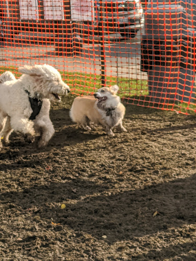 Park «The Park at Bothell Landing», reviews and photos, 9919 NE 180th St, Bothell, WA 98011, USA