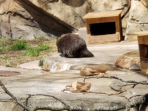 Zoo «Henry Vilas Zoo», reviews and photos, 702 S Randall Ave, Madison, WI 53715, USA