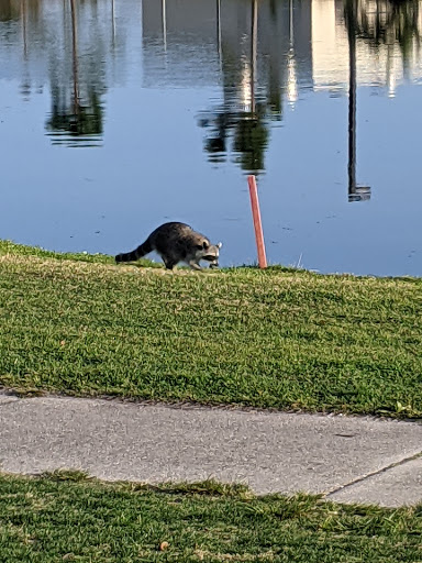 Golf Club «Manatee County Golf Course», reviews and photos, 6415 53rd Ave W, Bradenton, FL 34210, USA