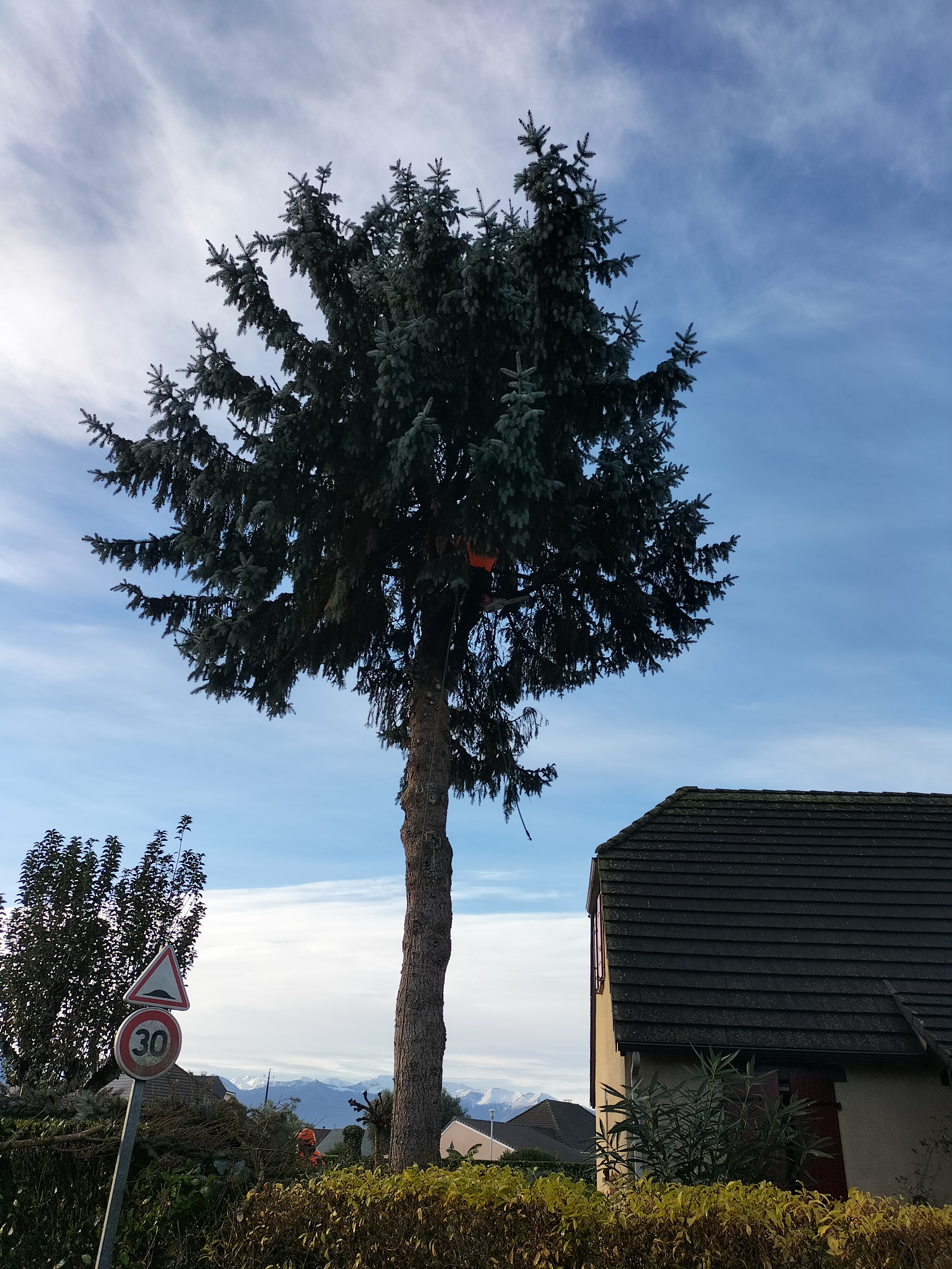 Photo n° 2 de l'avis de Alain.e fait le 30/11/2022 à 15:58