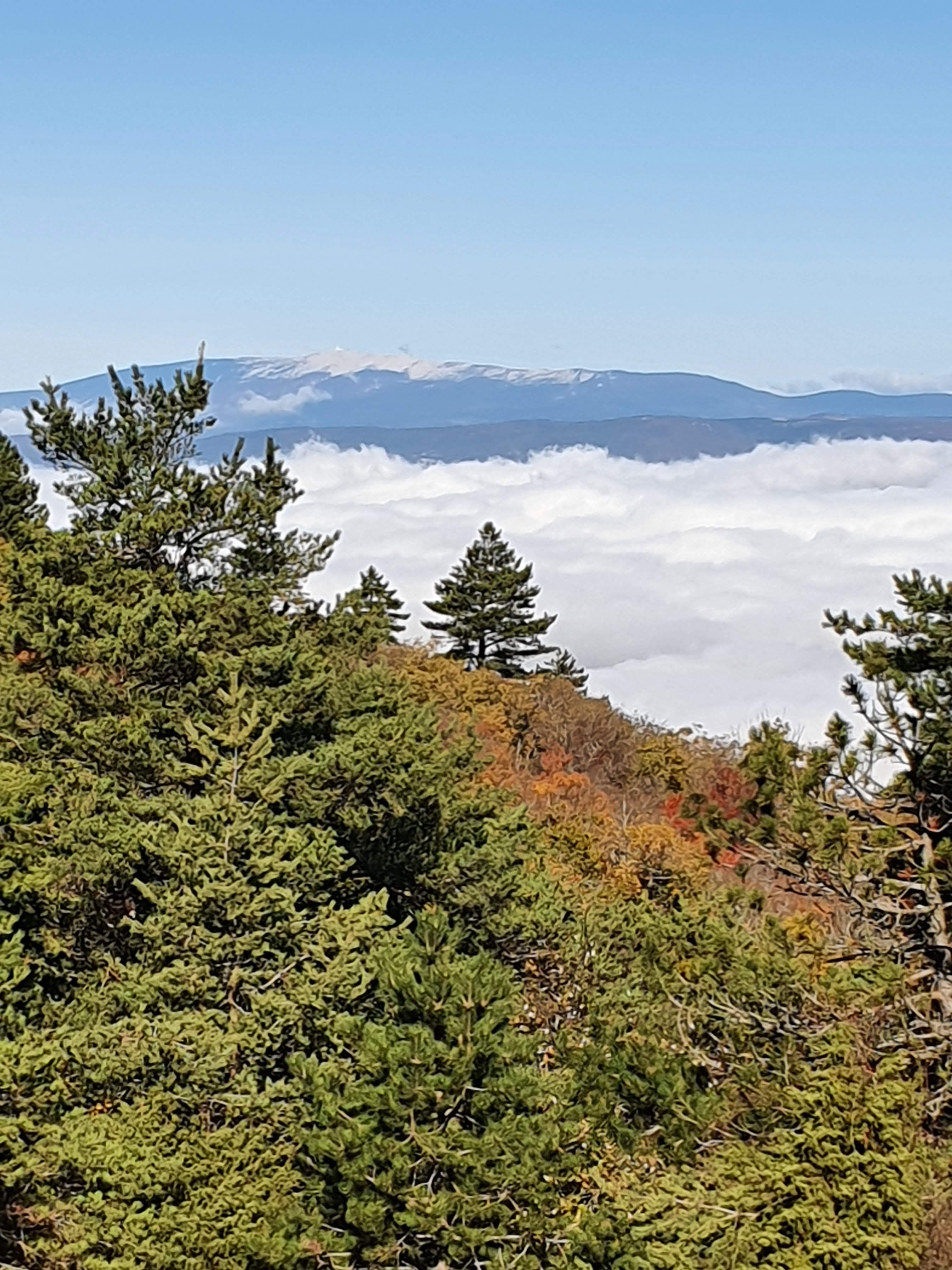 Photo n° 10 de l'avis de Nath.t fait le 24/10/2020 à 15:59