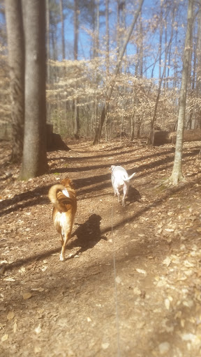 Park «Big Creek Park», reviews and photos, 1600 Old Alabama Rd, Roswell, GA 30076, USA