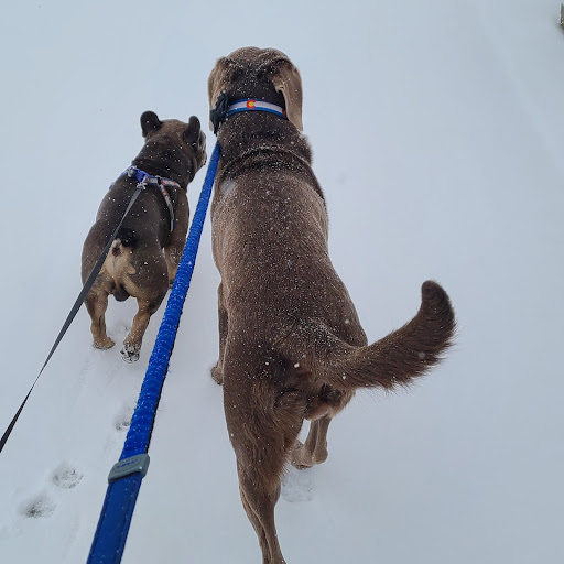 Tack Shop «J & T Country Feeds Inc», reviews and photos, 4835 W 10th St, Greeley, CO 80634, USA