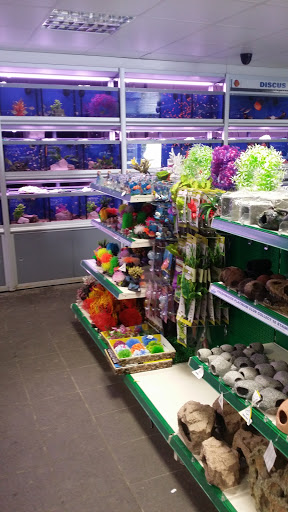 Exotic animal shops in Dublin