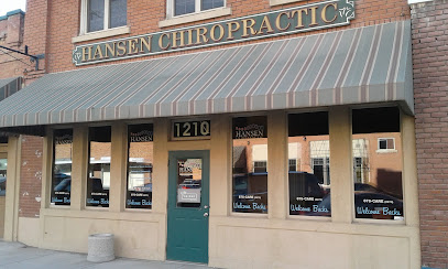 Hansen Chiropractic Neurology - Pet Food Store in Burley Idaho