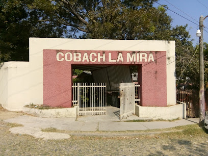 COBACH La Mira