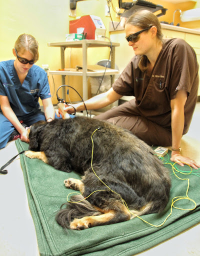 Packerland Veterinary Center image