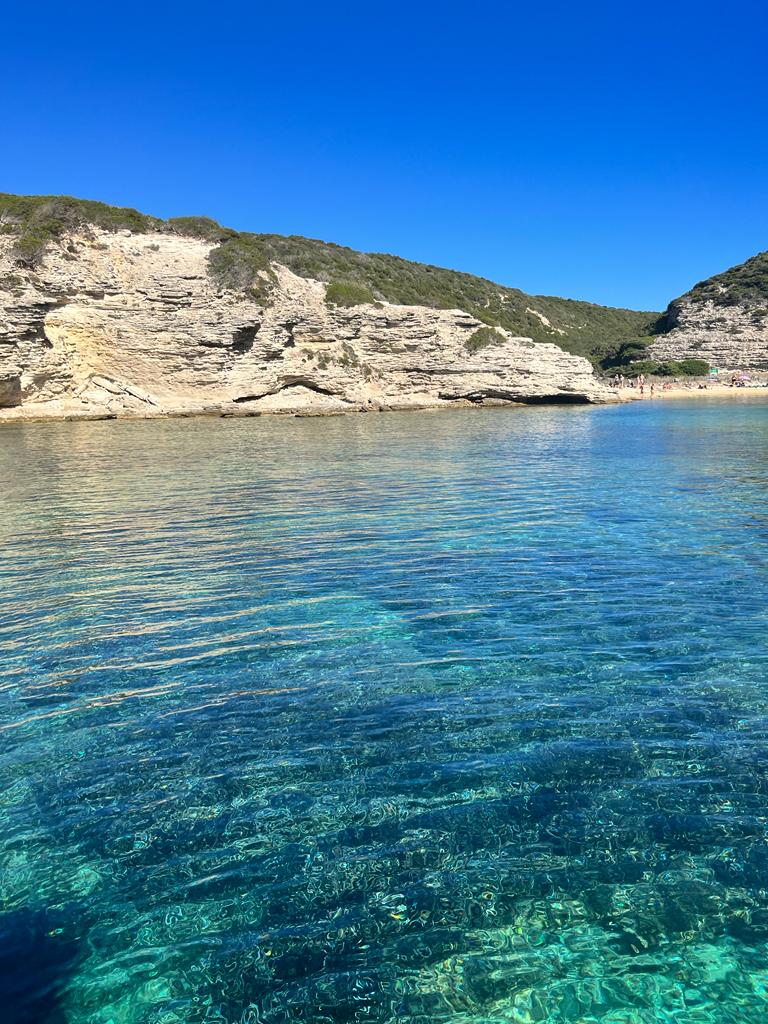 Photo n° 23 de l'avis de DESOLI.l fait le 12/09/2022 à 14:52