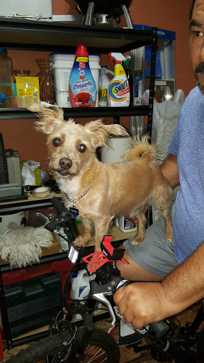 Recreation Center «Betty T. Ferguson Recreational Complex», reviews and photos, 3000 NW 199th St, Miami Gardens, FL 33056, USA