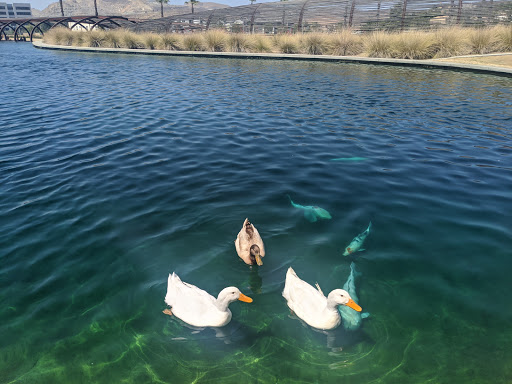 Shopping Mall «Shops At Dos Lagos», reviews and photos, 2780 Cabot Dr #140, Corona, CA 92883, USA