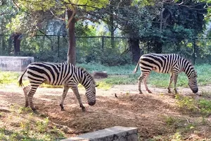 Sanjay Gandhi Biological Park, Patna image