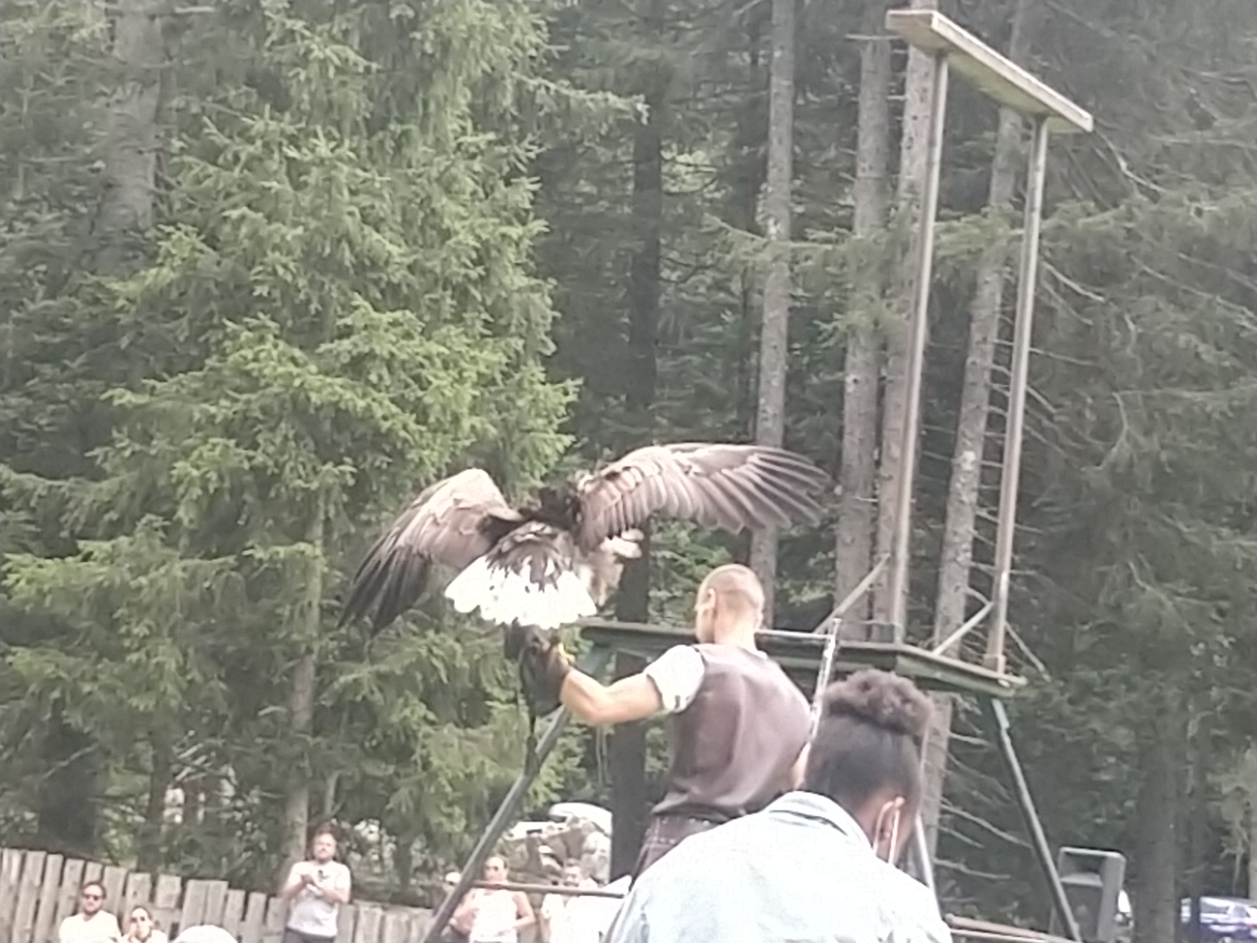 Photo n° 3 de l'avis de Hiss.o fait le 14/08/2020 à 16:29