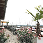 Photo n°1 de l'avis de Stefan.i fait le 30/06/2022 à 15:31 sur le  Cossis à Markkleeberg