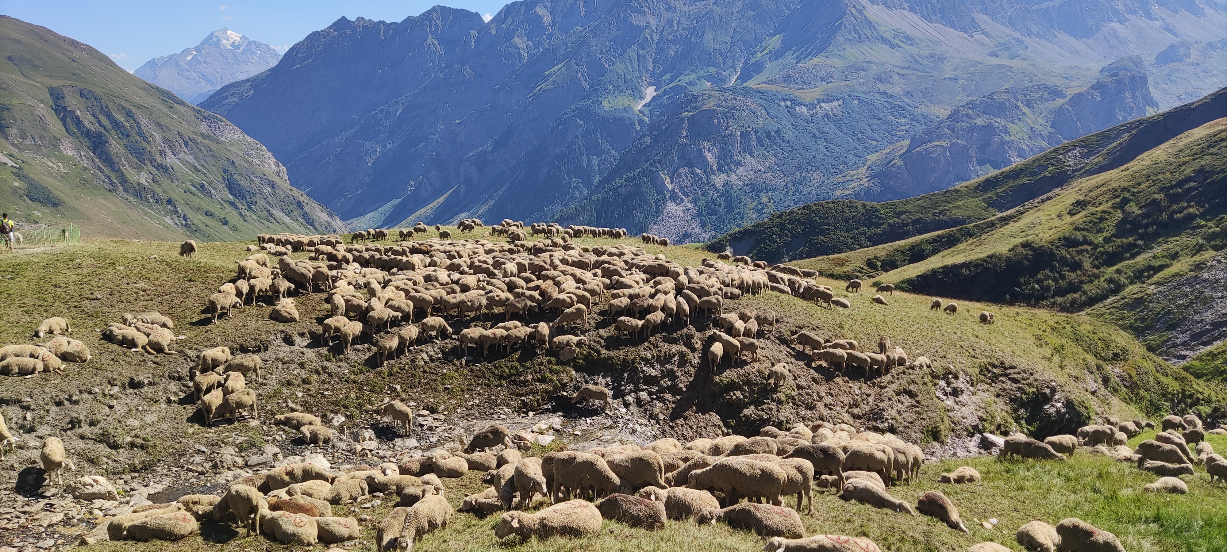 Photo n° 15 de l'avis de Claude.E fait le 29/08/2023 à 11:52