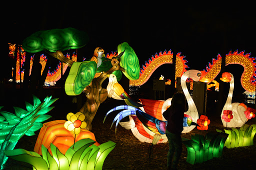 Amphitheater «Koka Booth Amphitheatre», reviews and photos, 8003 Regency Pkwy, Cary, NC 27511, USA