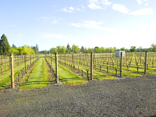 Winery «Redgate Vineyard», reviews and photos, 8175 Buena Vista Rd, Independence, OR 97351, USA