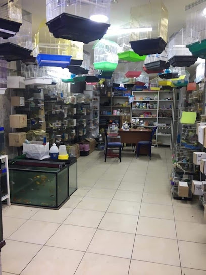 maviş-akvaryum-pet-shop