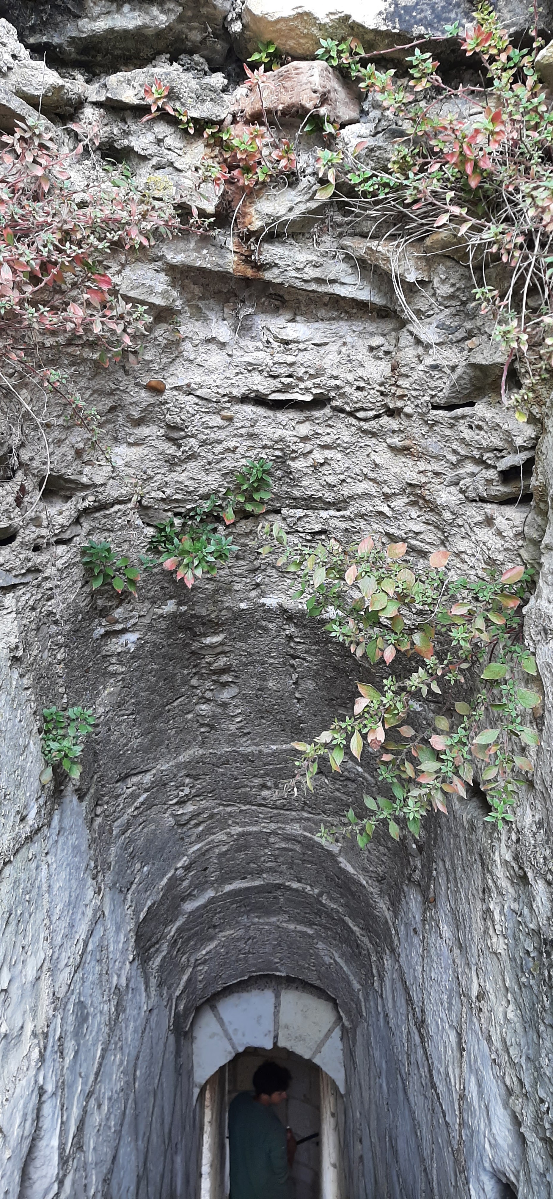 Photo n° 15 de l'avis de Reut. fait le 15/08/2023 à 14:34