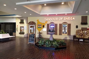 Tandoor of India Fairport NY image