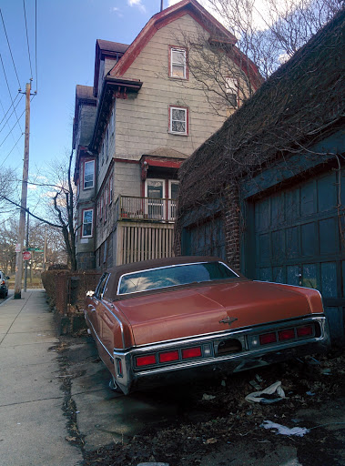 Park «Horatio Harris Park», reviews and photos, 85 Harold St, Boston, MA 02119, USA