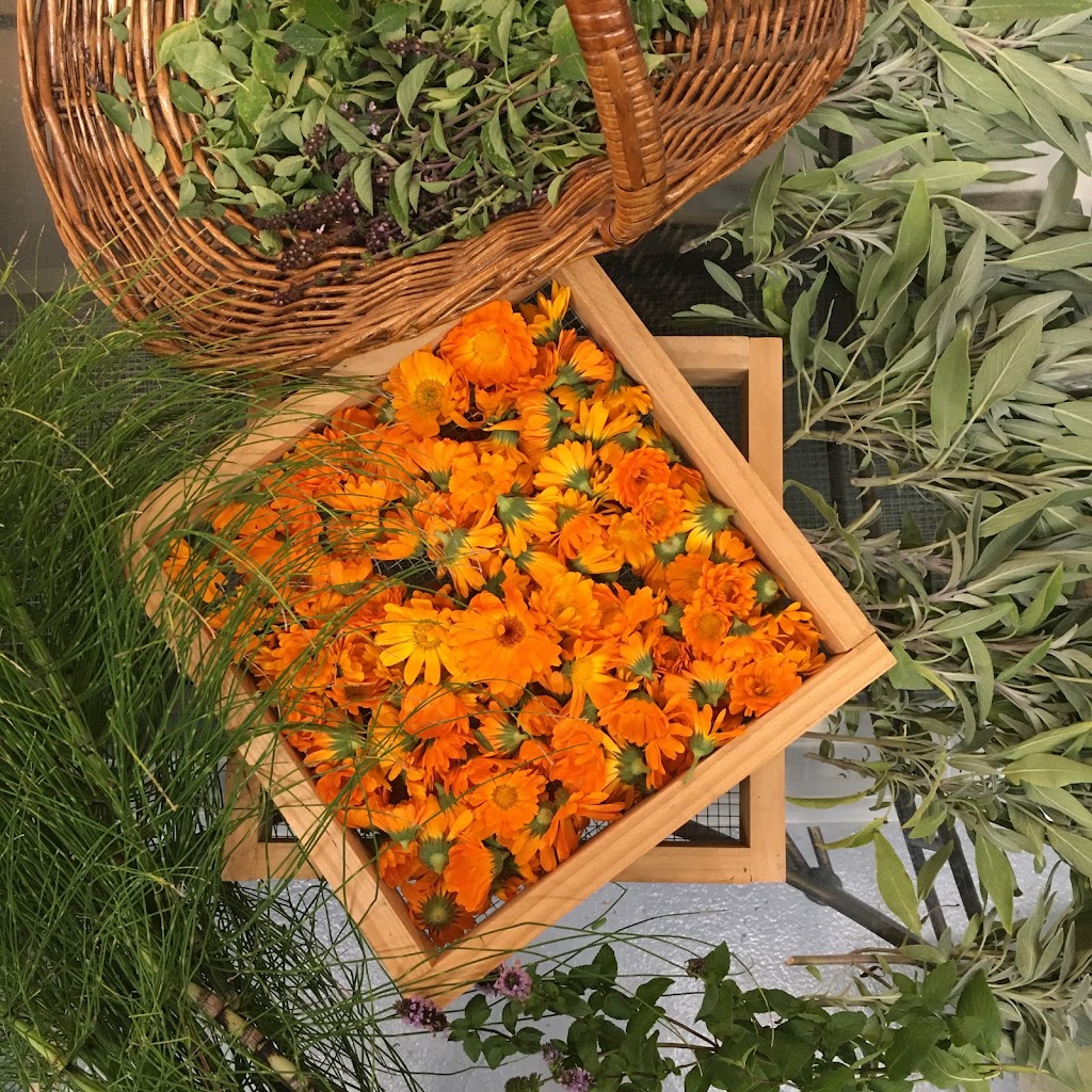Infuse Organics 98826
