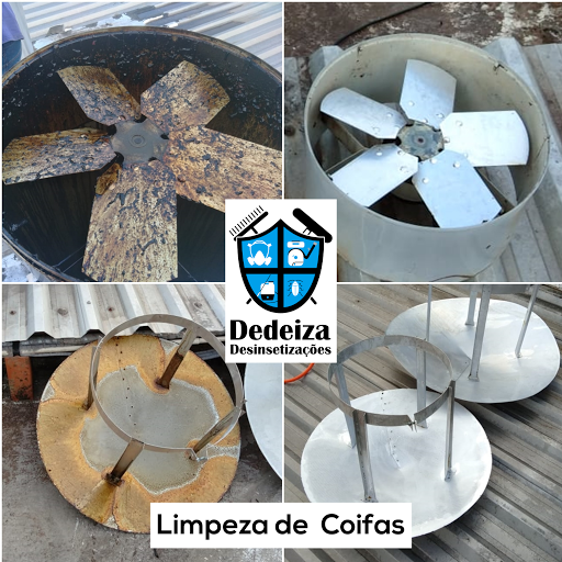 Logo da empresa - Dedeiza Desinsetizações