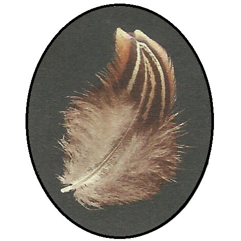 Winery «Pheasant Ridge Winery», reviews and photos, 3507 E County Road 5700, Lubbock, TX 79403, USA