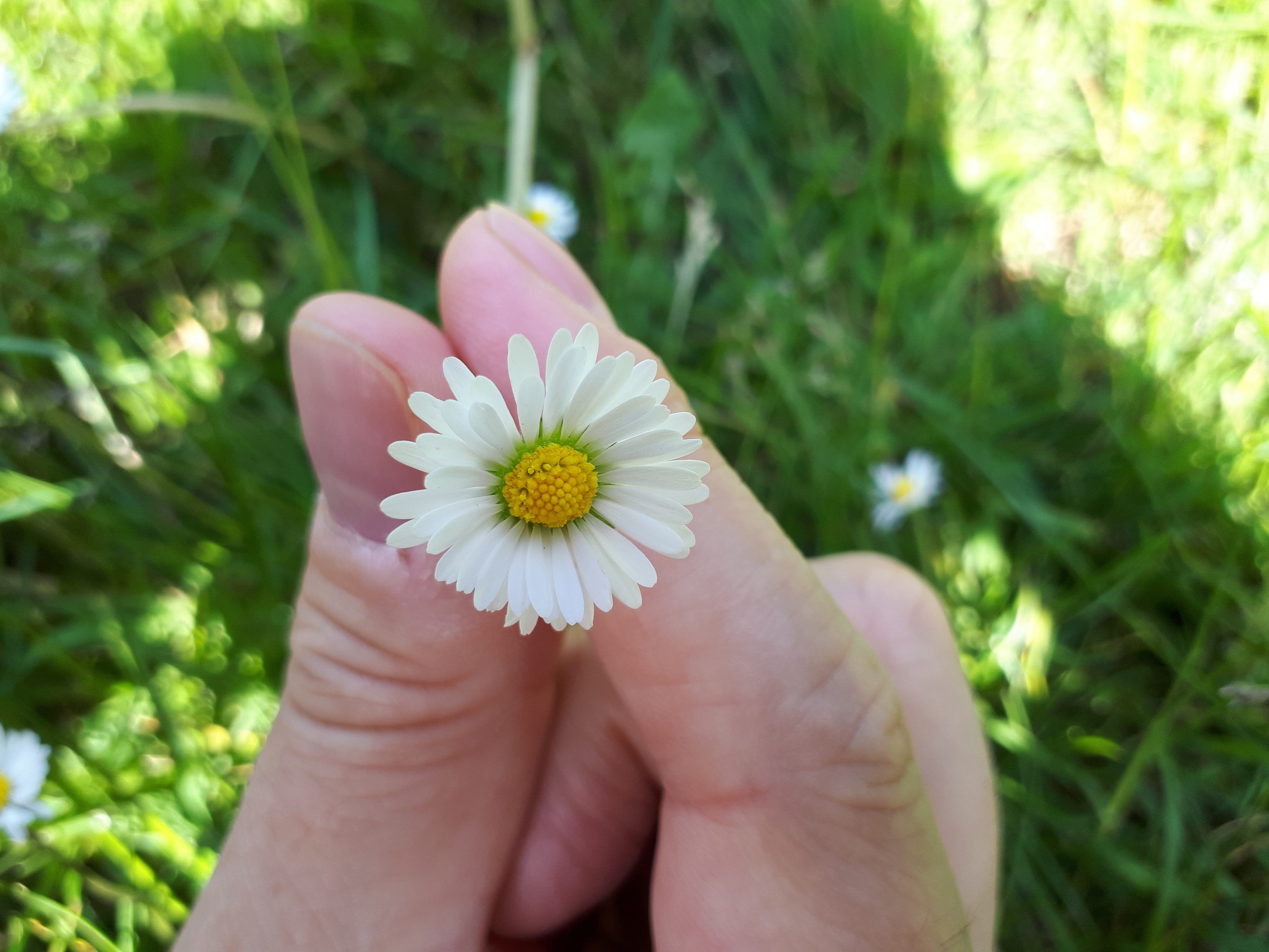 Photo n° 1 de l'avis de Eric.i fait le 21/08/2018 à 16:43