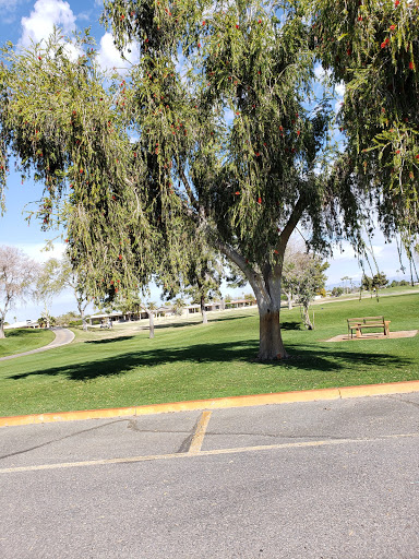 Golf Course «Willow Creek Golf Course», reviews and photos, 10600 N Boswell Blvd, Sun City, AZ 85351, USA