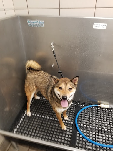 Pet Supply Store «Pet Supplies Plus», reviews and photos, 209 Towne Dr, Elizabethtown, KY 42701, USA