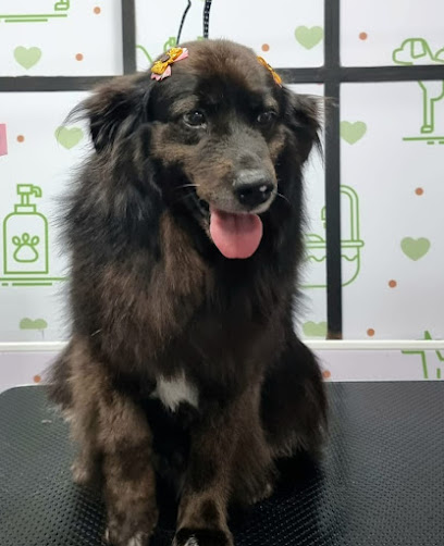 León Groom Pet Shop Peluquería Canina La Serena