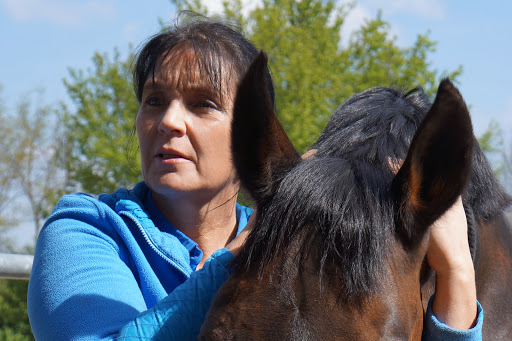 KomplemenThera | Mobile Tierheilpraxis unter Hohenbrunn, Bayern