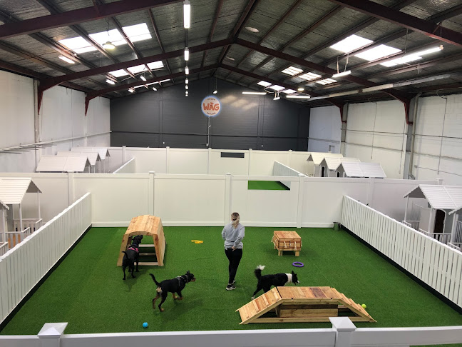 WAG Doggy Daycare - Christchurch