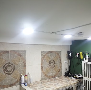 Veterinaria Vidanimal Guayaquil