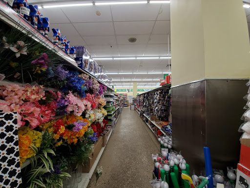 Dollar Store «Dollar Tree», reviews and photos, 4101 Dempster St, Skokie, IL 60076, USA
