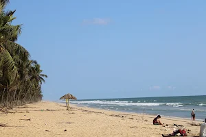 Valiyaparamba Beach image