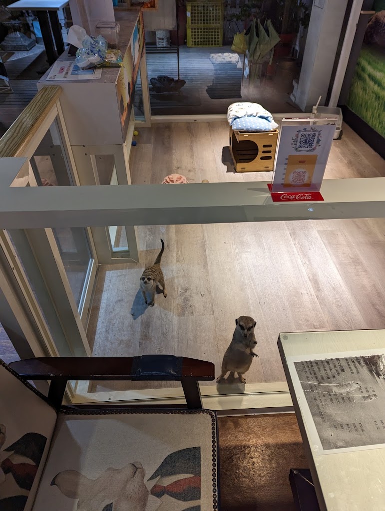 萌獴學園複合式餐飲 的照片